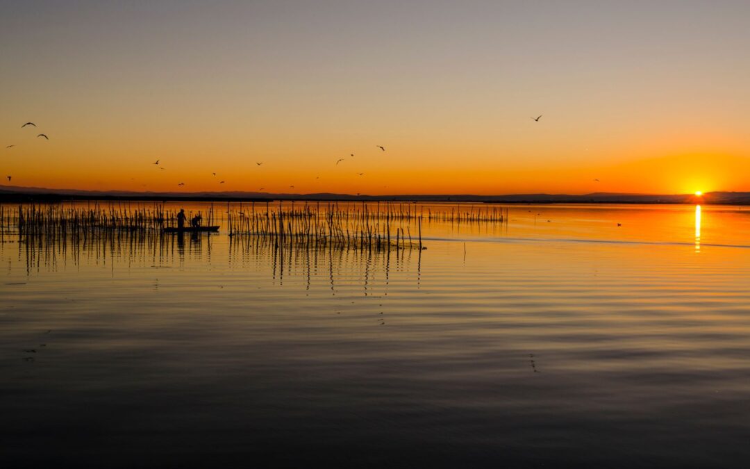 ALBUFERA